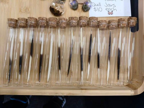 Porcupine quill