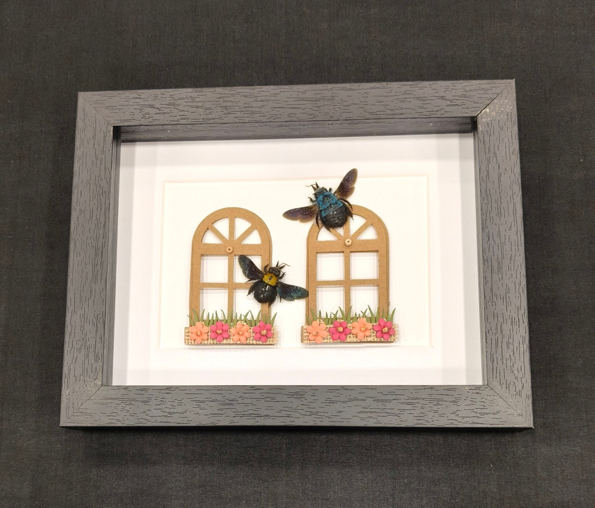 Carpenter bees