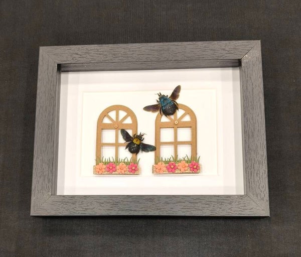 Carpenter bees