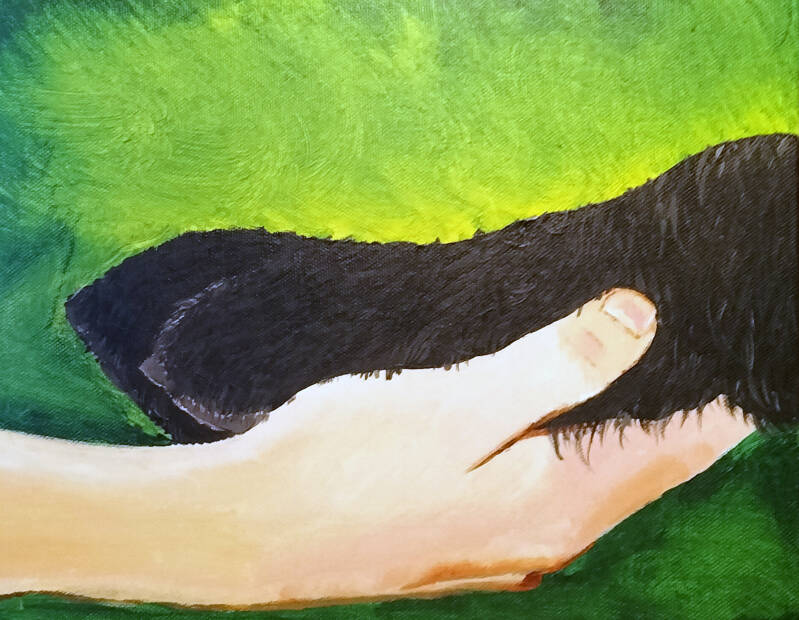 paw in hand - true friendship 2023