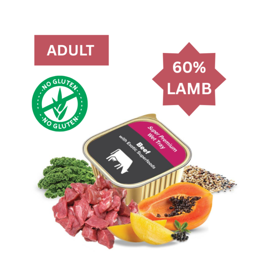 Super Premium Beef with Exotic Superfoods SPWT WGF