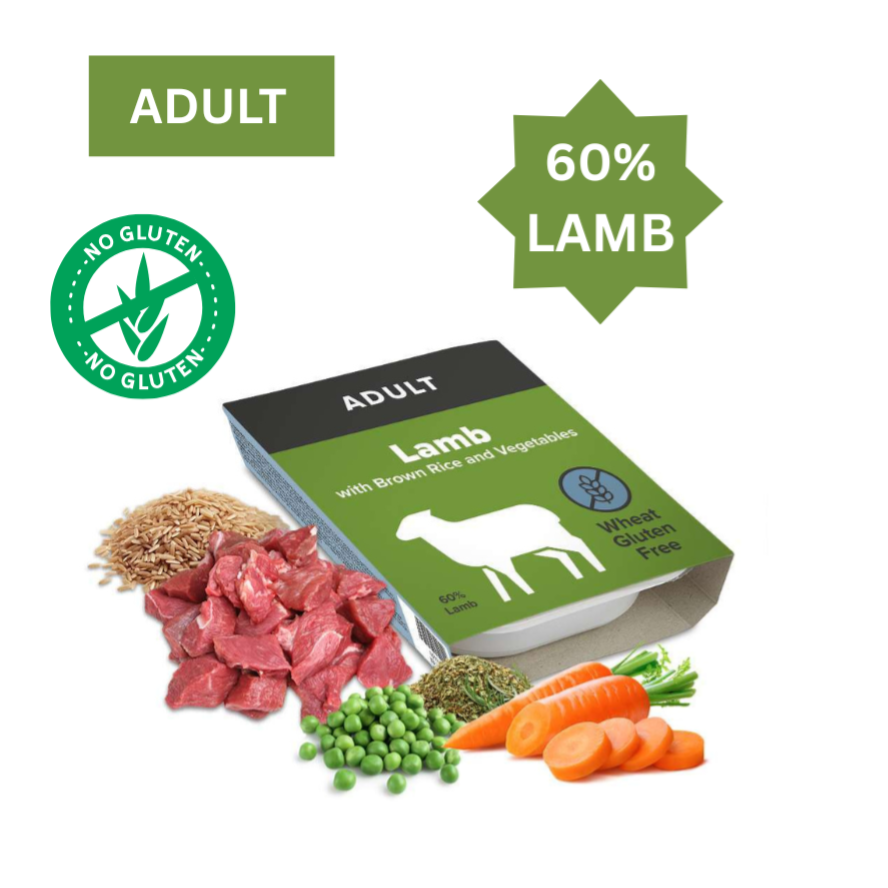 Lamb with Brown Rice and Vegetables WT WGF WD