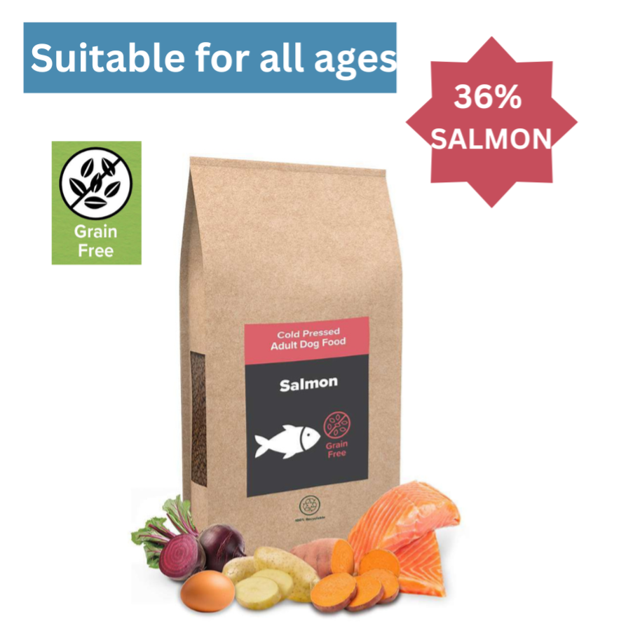 Salmon & Sweet Potato CP GF WD