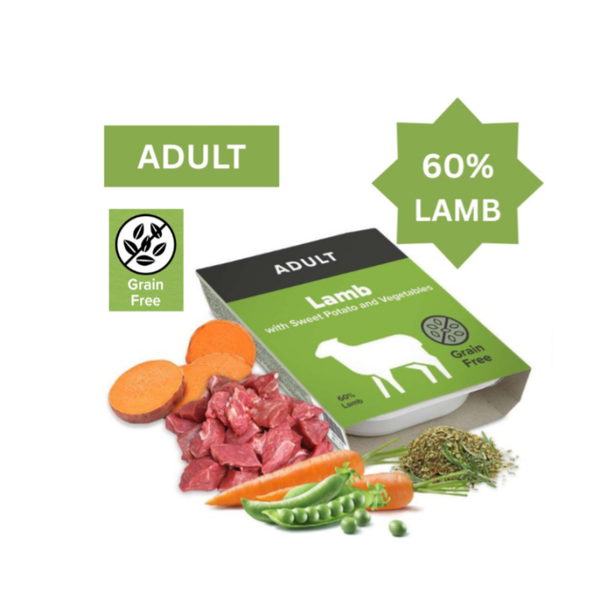 Lamb with Sweet Potato and Vegetables WT GF WD