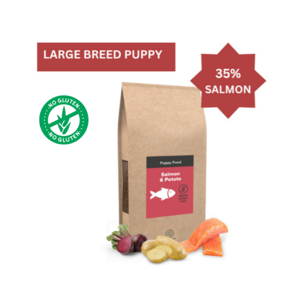 Salmon & Potato WGF WD Large Breed Puppy