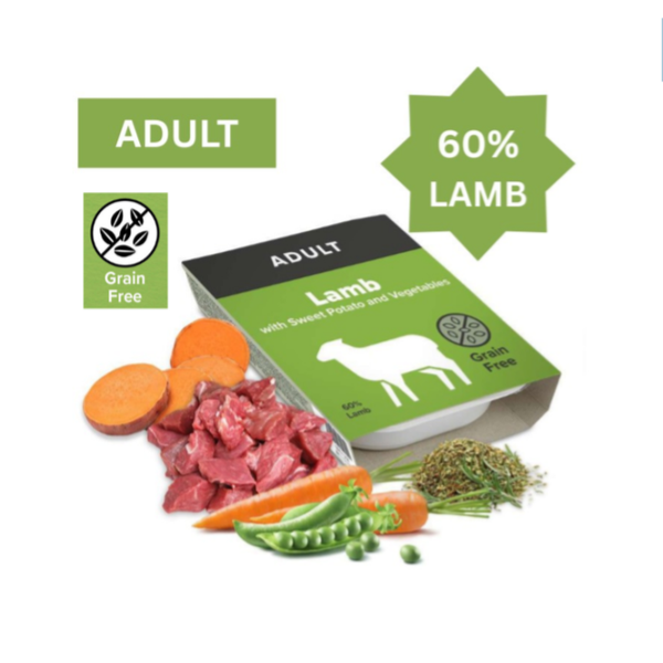 Lamb with Sweet Potato and Vegetables WT GF