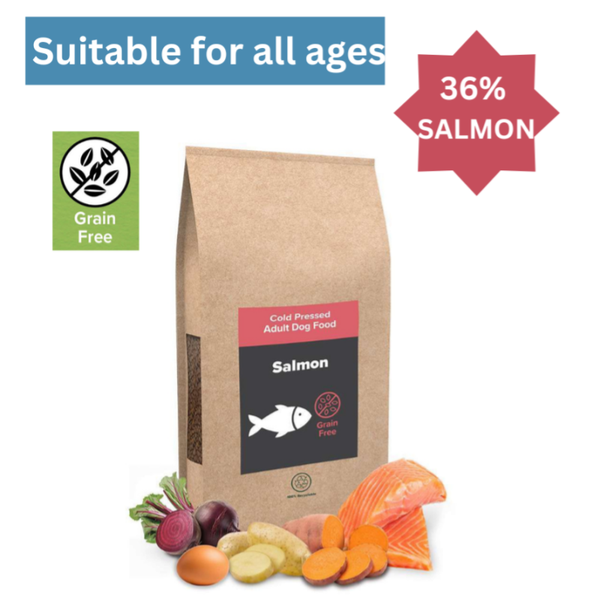Salmon & Sweet Potato CP GF