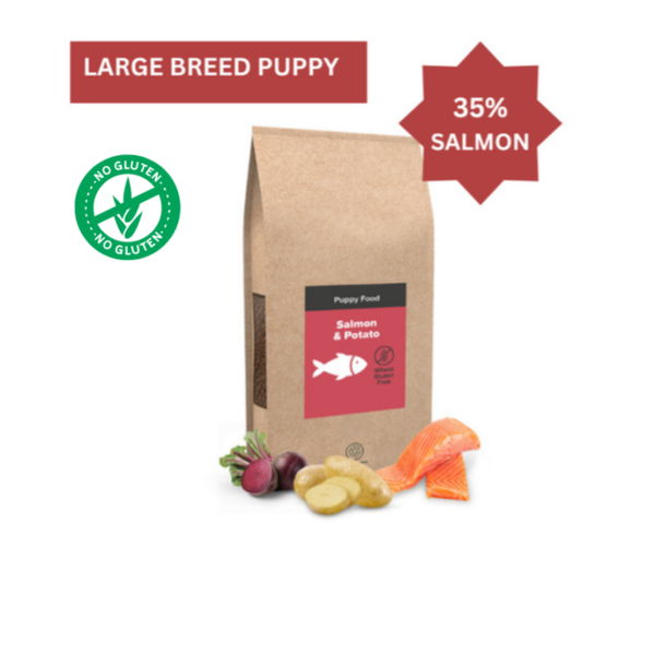 Salmon & Potato WGF (Large Breed Puppy)