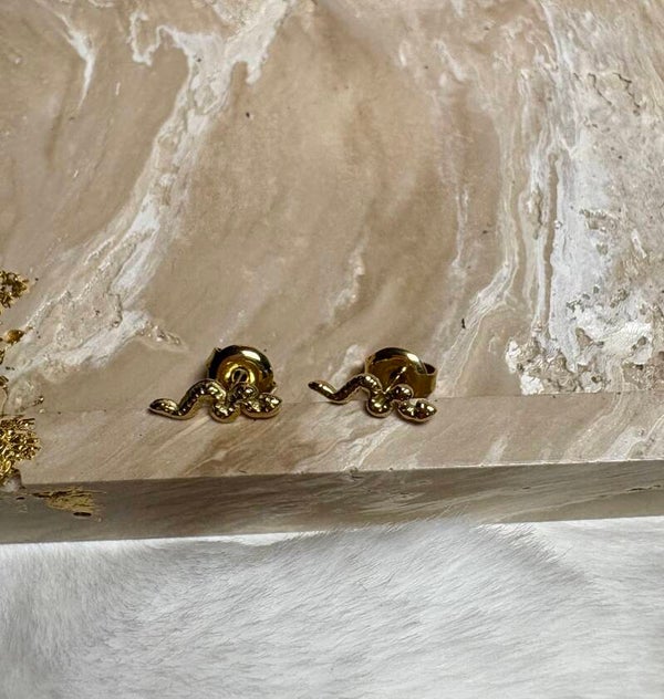 Oorknopjes slang goud