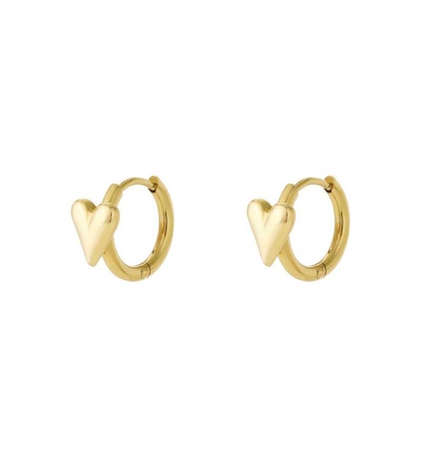Oorbellen icon hart ringetjes goud