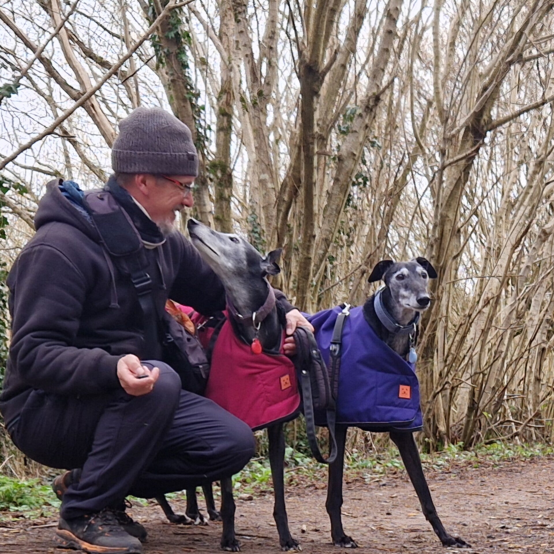 Air tags for lost dogs