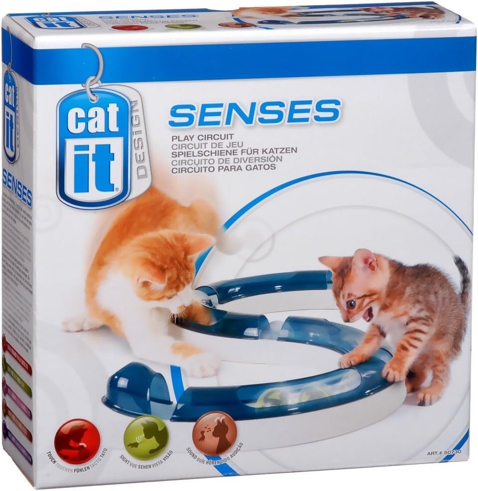 Curated visual reference: Why Is My Cat Suddenly Meowing More Than Usual Causes Photo Inspiration