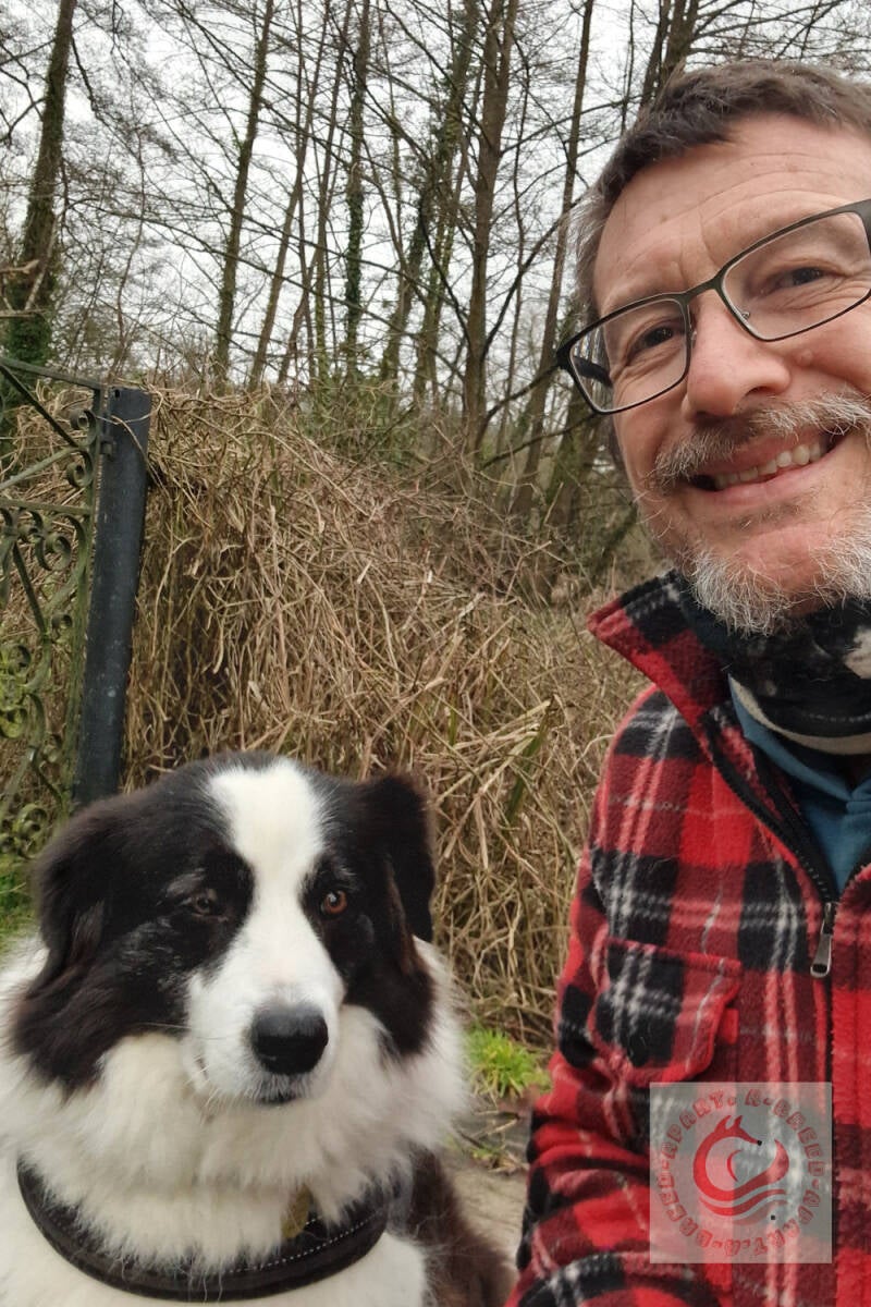 Border Collie Pet Sitter Wiltshire