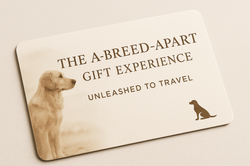Pet and House Sitting Gift Voucher Abingdon