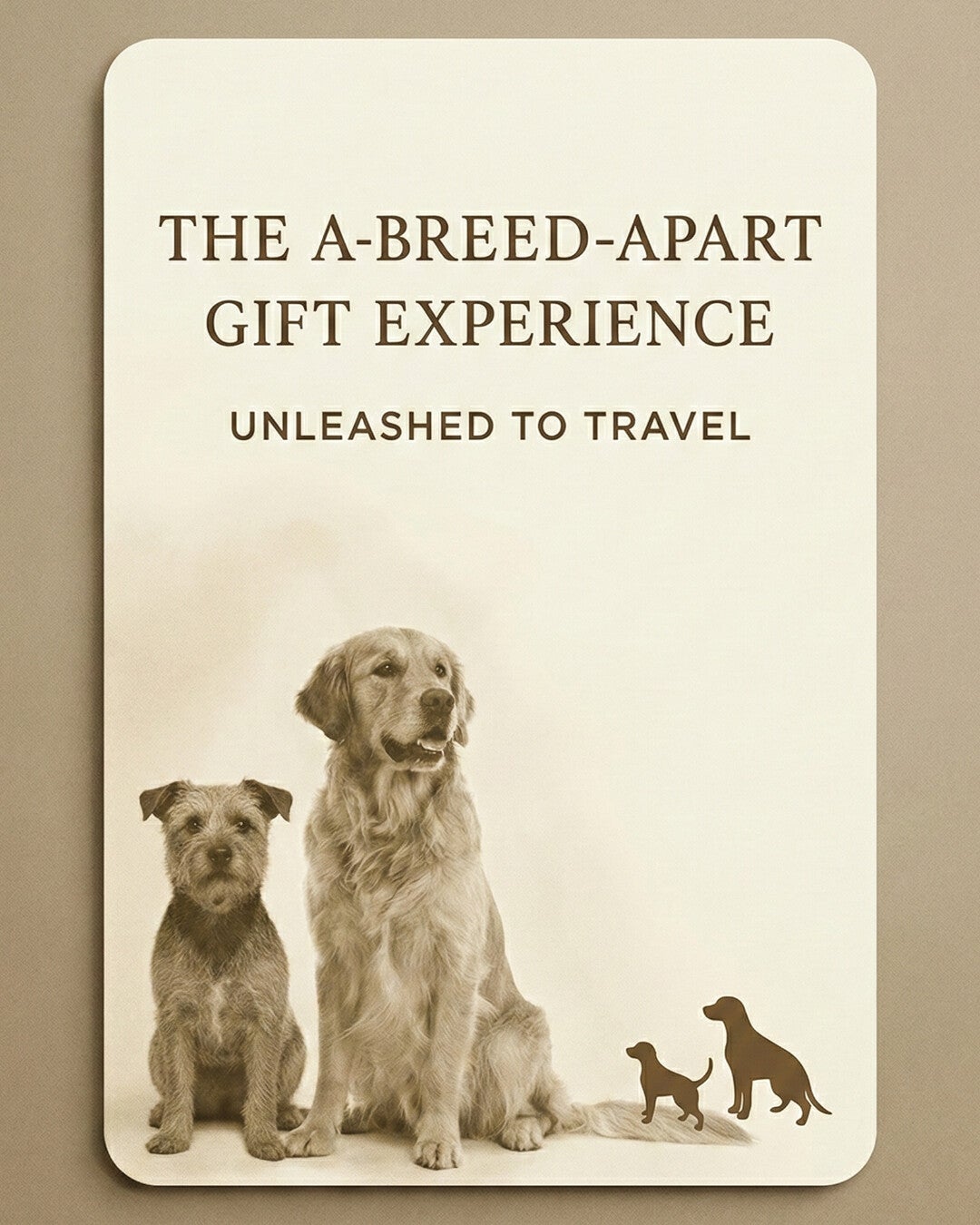 Pet Sit Voucher Oxfordshire