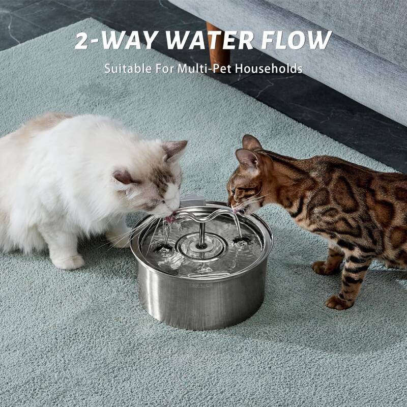 Top-rated cat drinking fountain
