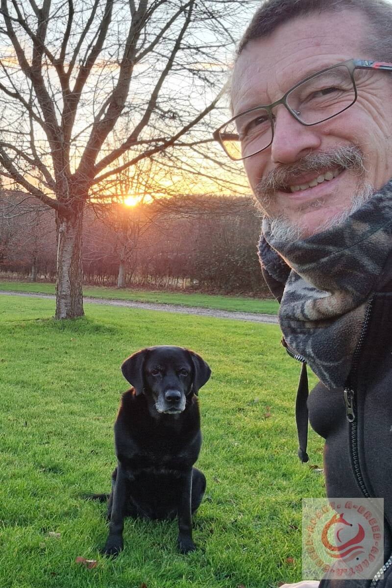 Black Labrador house sitter Newbury