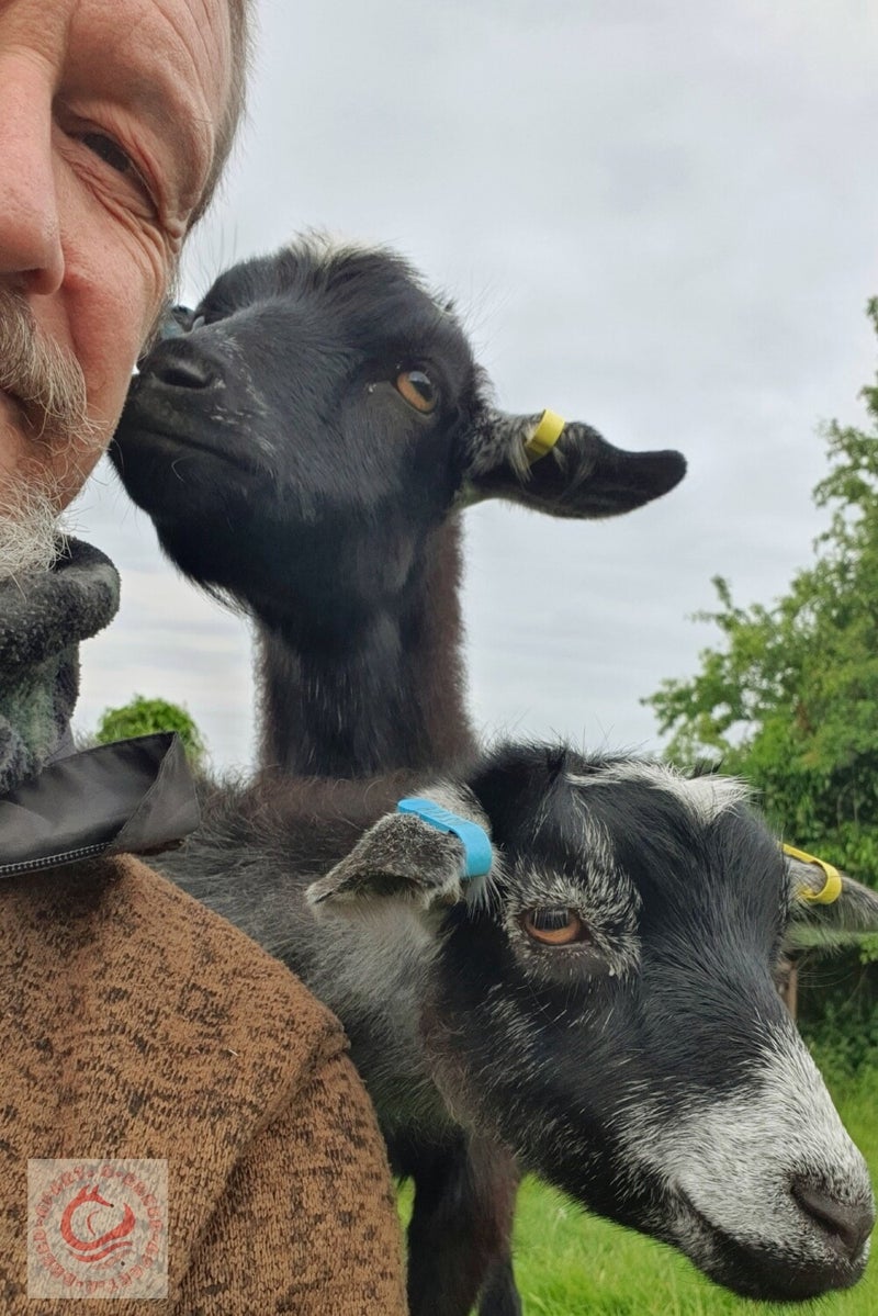 Farm Sitters in Cotswolds, Wiltshire and Dorset