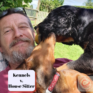 Best alternatives to kennels for dogs in Dorset, Cotswolds, and Wiltshire