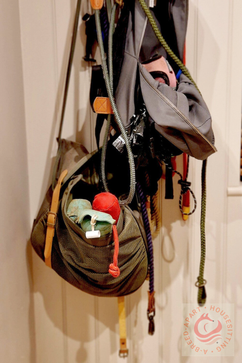 working-dog leash stationj