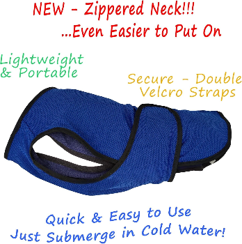 Top selling dog cooling vest
