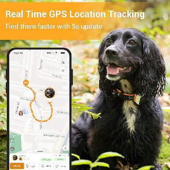 Top real-time GPS dog cat tracker
