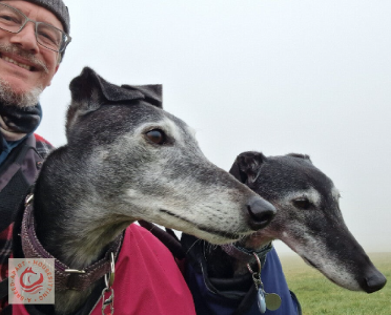 House and pet sitters Cotswolds Wiltshire Dorset