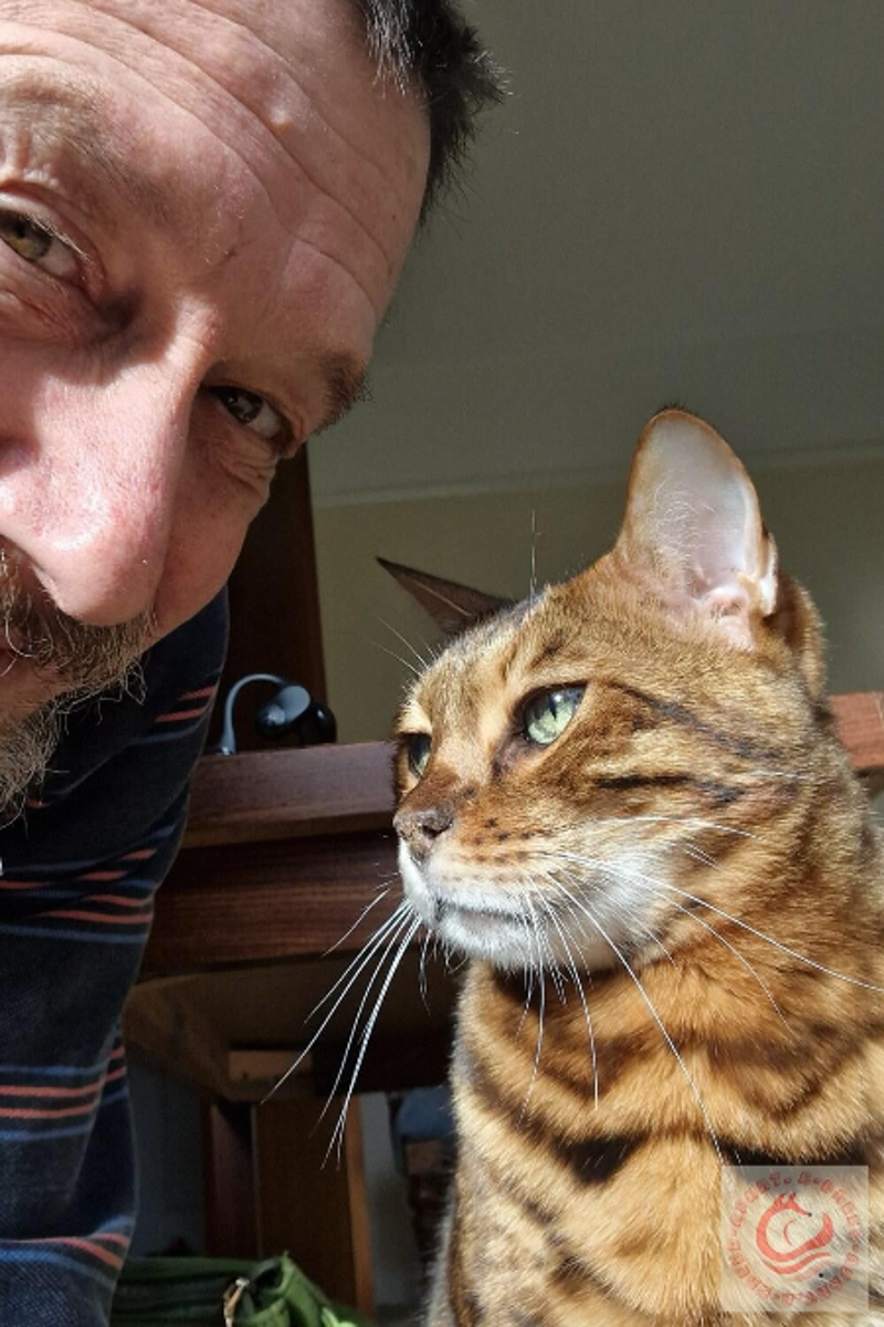 Cotswolds Cat Sitter Dependable and Professional