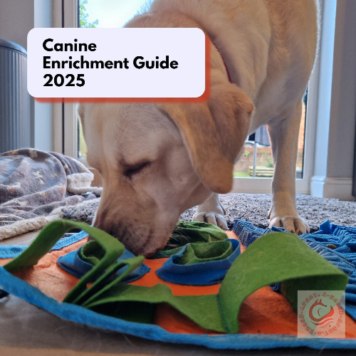 Canine Enrichment Guide