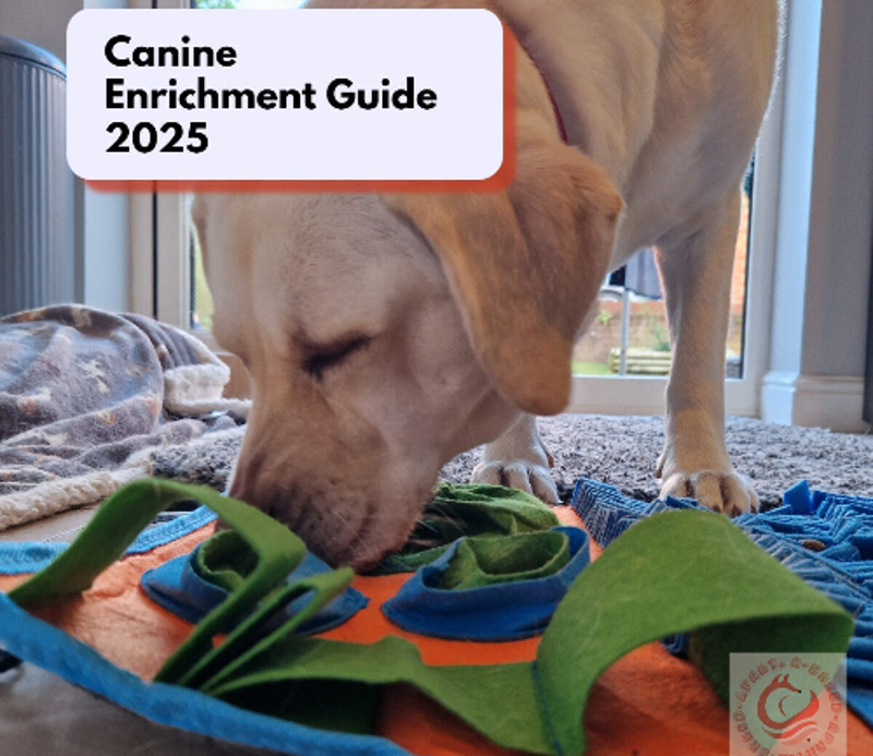 Canine Enrichment Guide