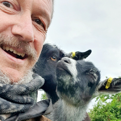 Farm House sitter with pygmy goats
