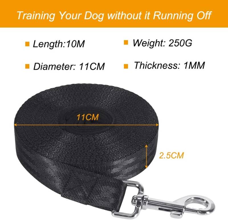 Lon-line leash for dogs