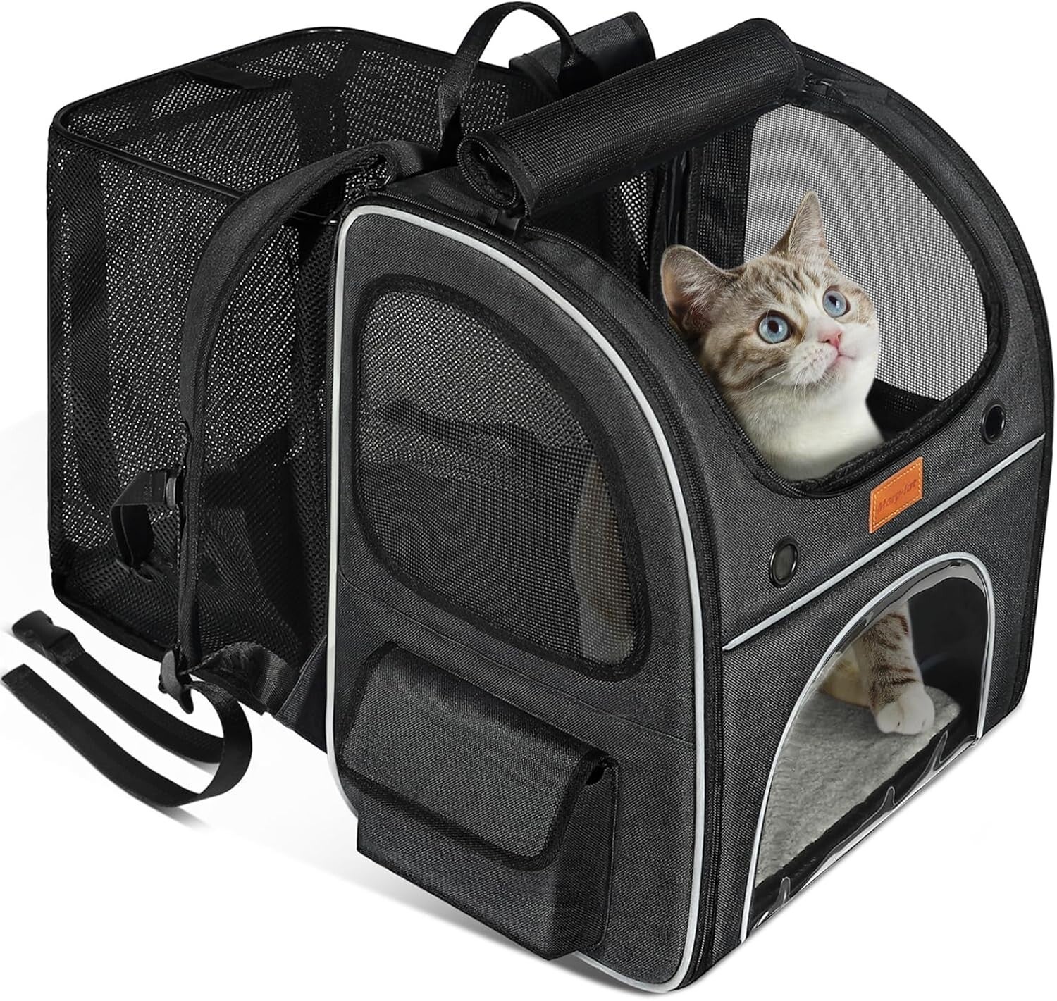 top rated pet backpack carrier travel