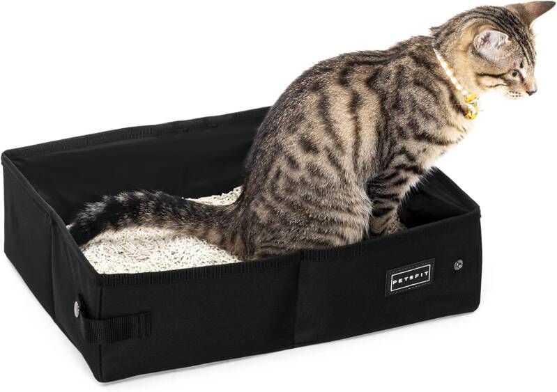 Best portable cat litter tray