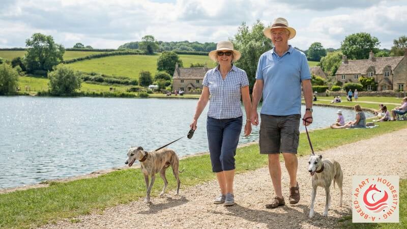 South Cerney dog activities and housesitters