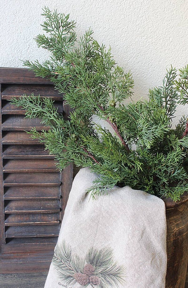 Kunst Jeneverbes-tak