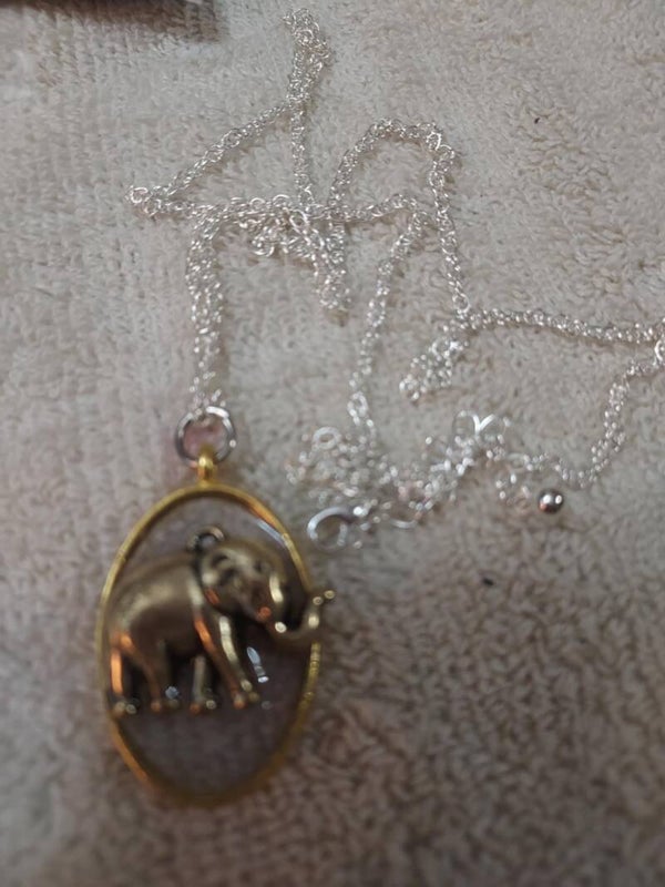 Turtle necklace