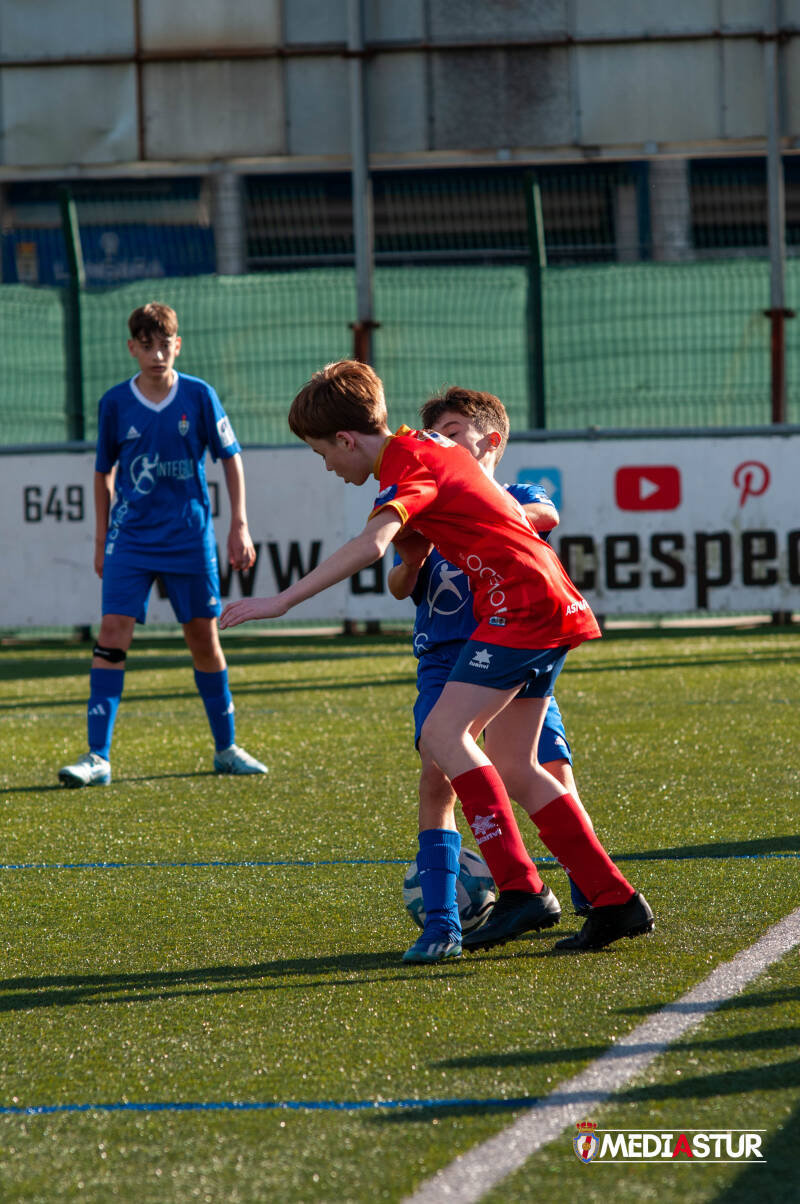 infantil-a-covadonga-55-standard.jpg