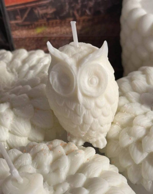 owl candle