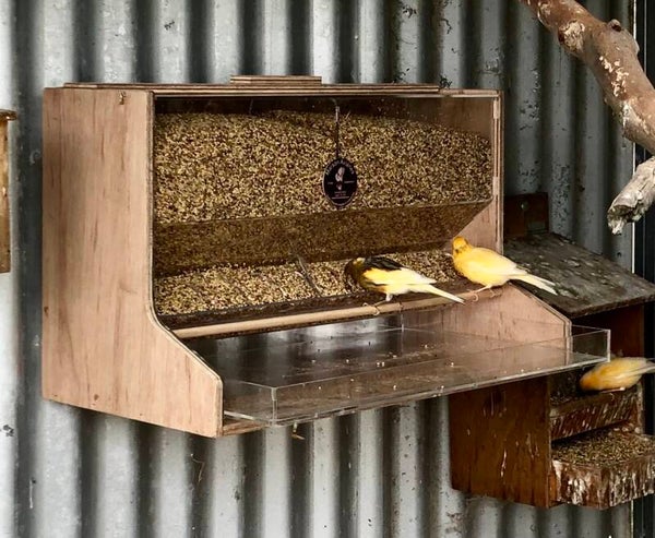 Seed Hopper