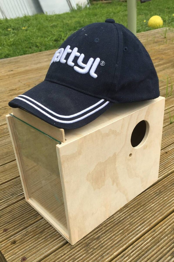 Breeding Box