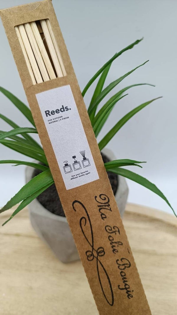Bâtonnets pour Diffuseur