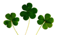 The Ireland Expert