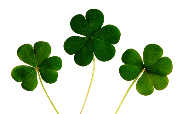 Certified City Tours, Republic of Ireland  (Full Day)