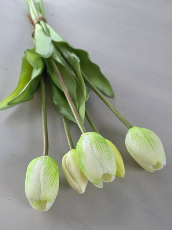 Bos tulpen