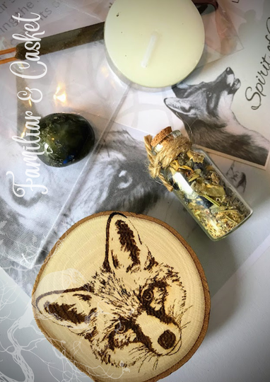 Fox Animal Spirit Guide