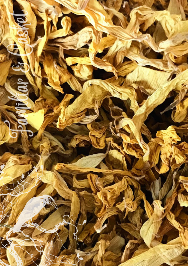 Sunflower Petals 25g