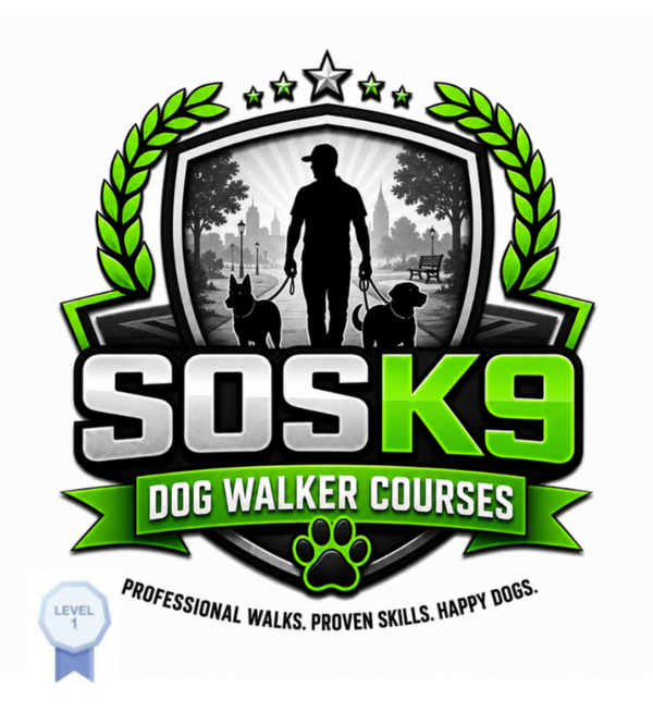 Dog Walker Level 1