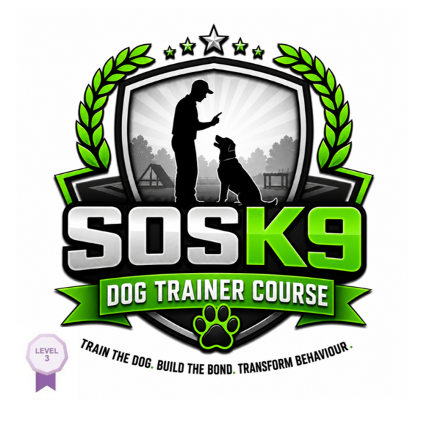 Dog Trainer Level 3