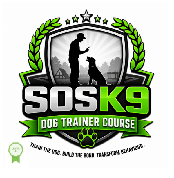 Dog Trainer Level 4